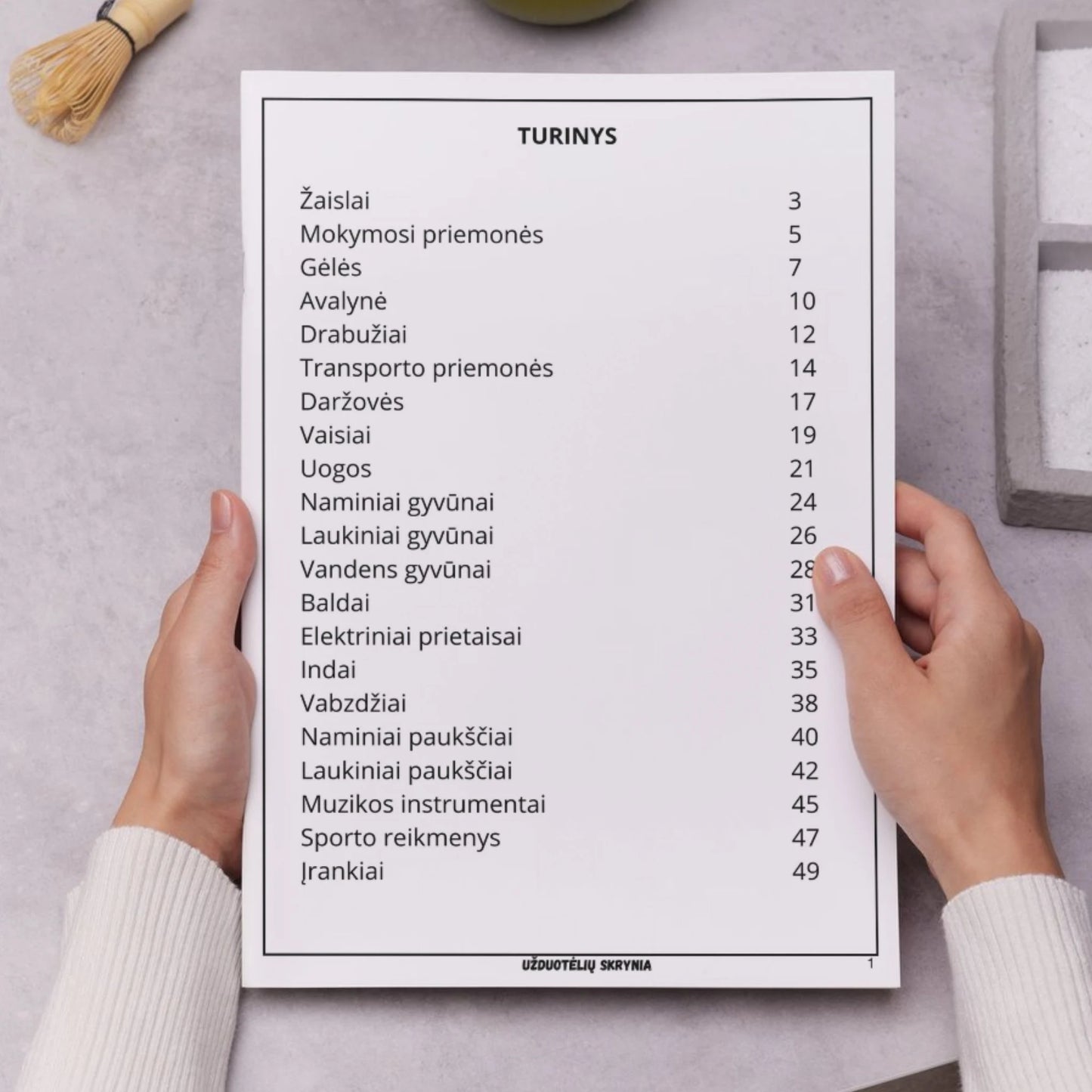 Užduotys apie apibendrinamąsias sąvokas vaikams atsispausdinti.