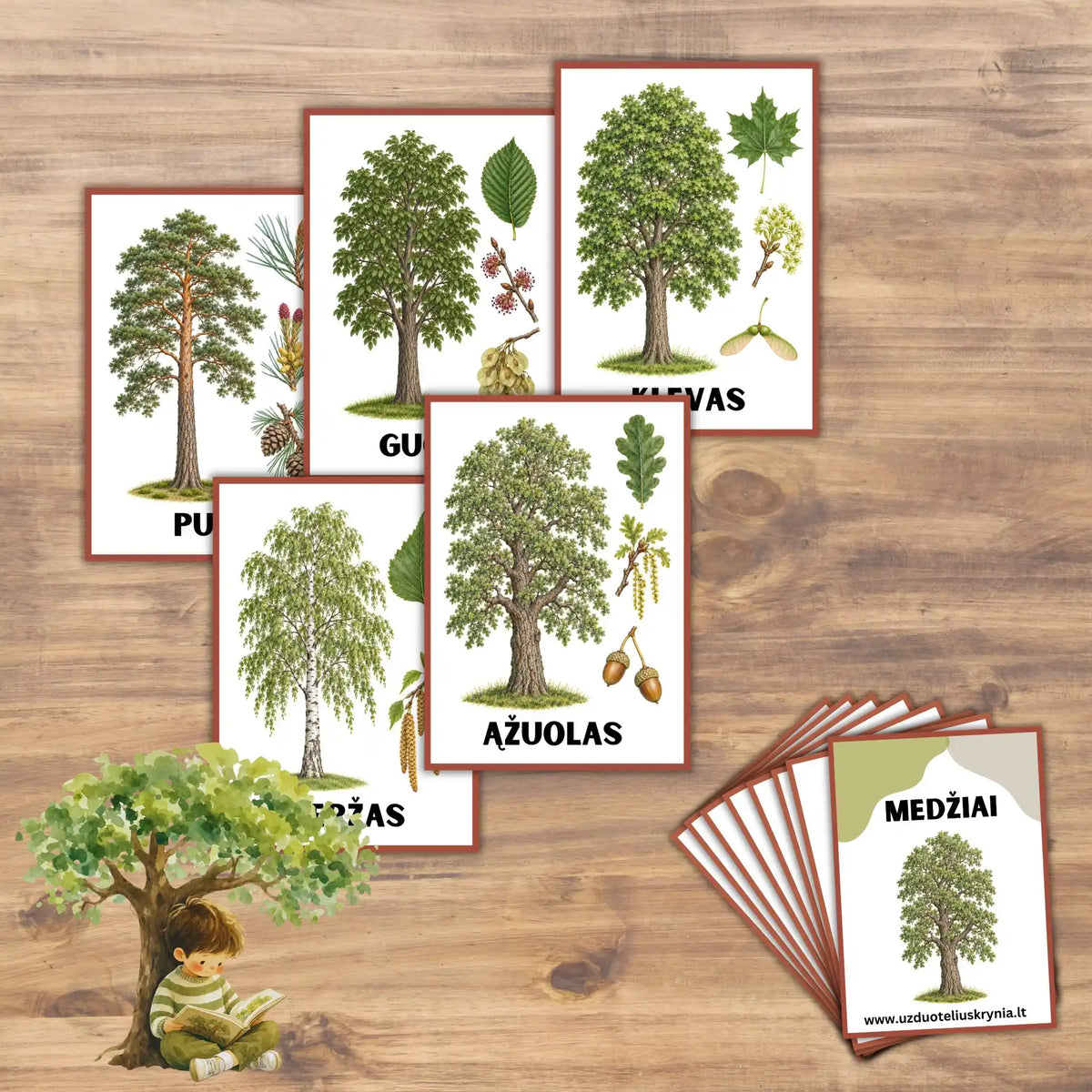 Lavinamosios kortelės "Medžiai", laminuotos arba PDF