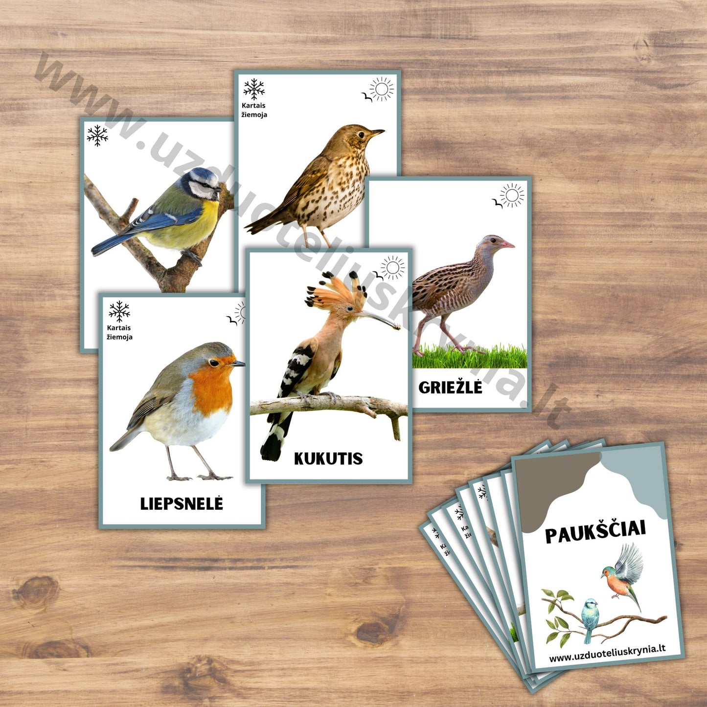 Lavinamosios kortelės su Lietuvos paukščiais - žiemojančiais ir grįžtančiais iš šiltųjų kraštų.