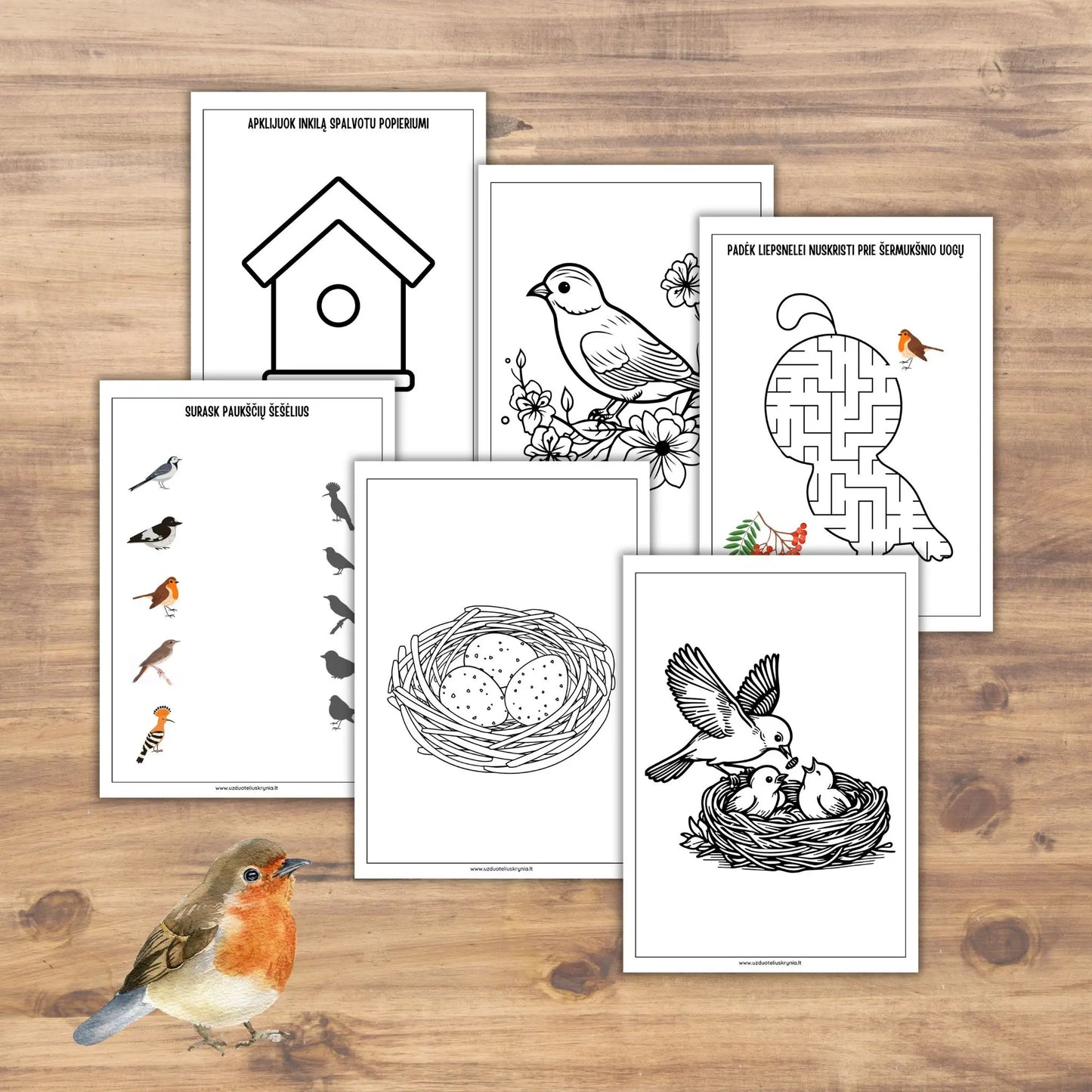 Įdomios užduotys vaikams apie grįžtančius paukščius. Gandro šablonas.