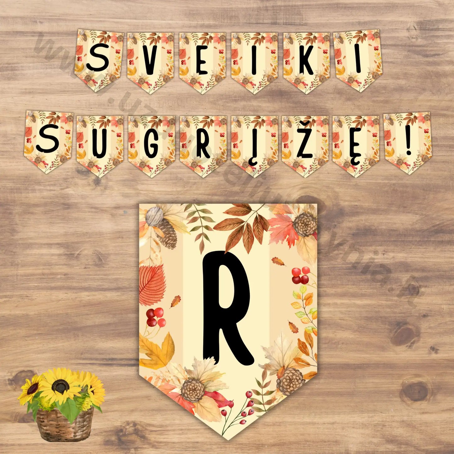 Klasės dekoracija - sveiki sugrįžę!