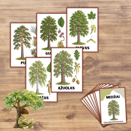 Lavinamosios kortelės "Medžiai", laminuotos arba PDF