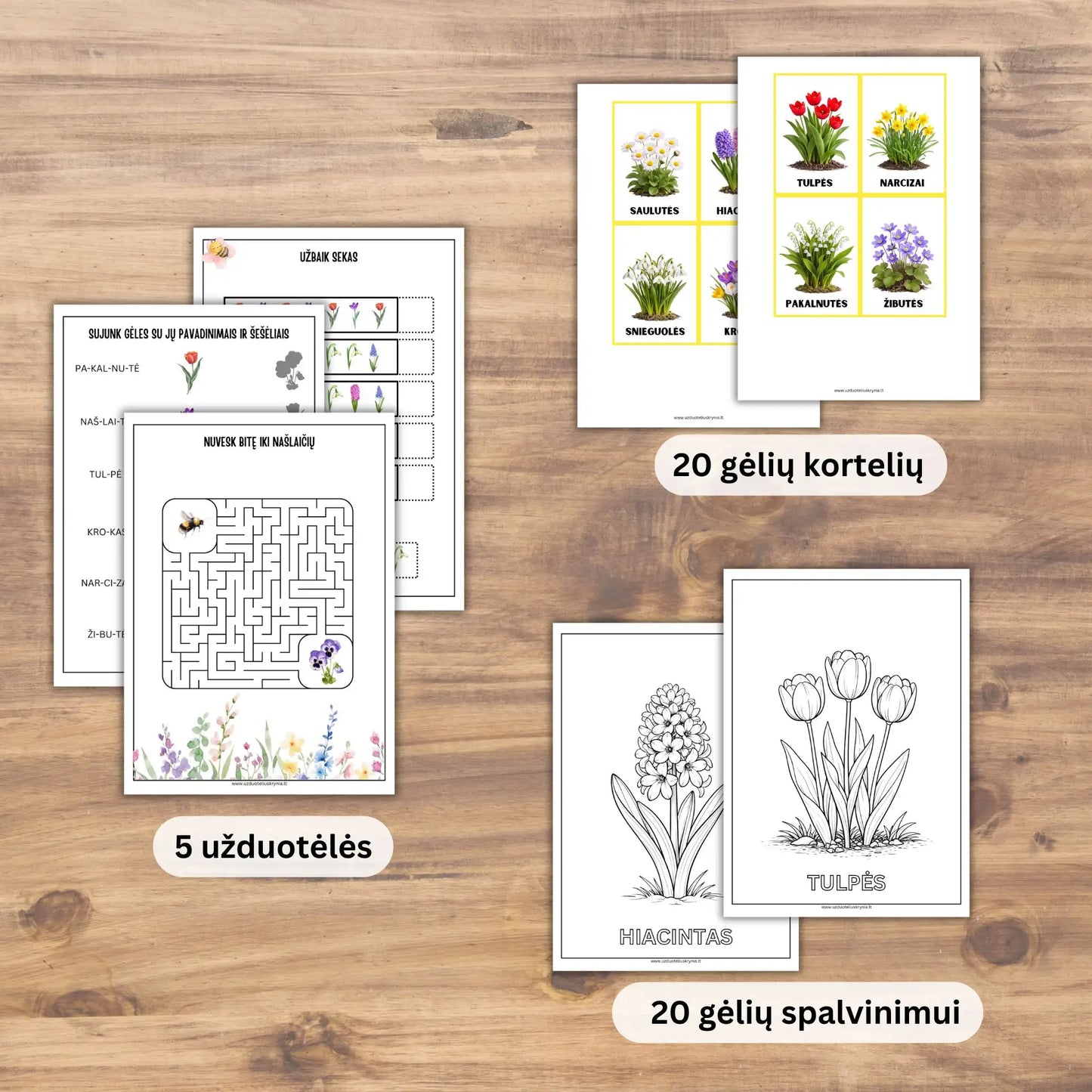 Užduotėlės apie pavasario gėles. Pavasario gėlių kortelės ir spalvinimo lapai atsispausdinti.