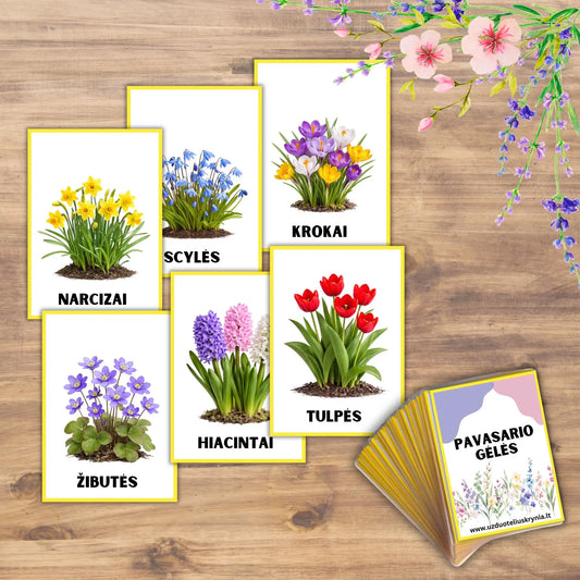 Lavinamosios pirmųjų pavasario gėlių kortelės vaikams.