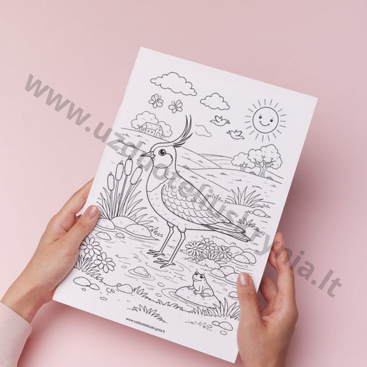 Pempės spalvinimo paveikslėlis vaikams Pempės dienai.