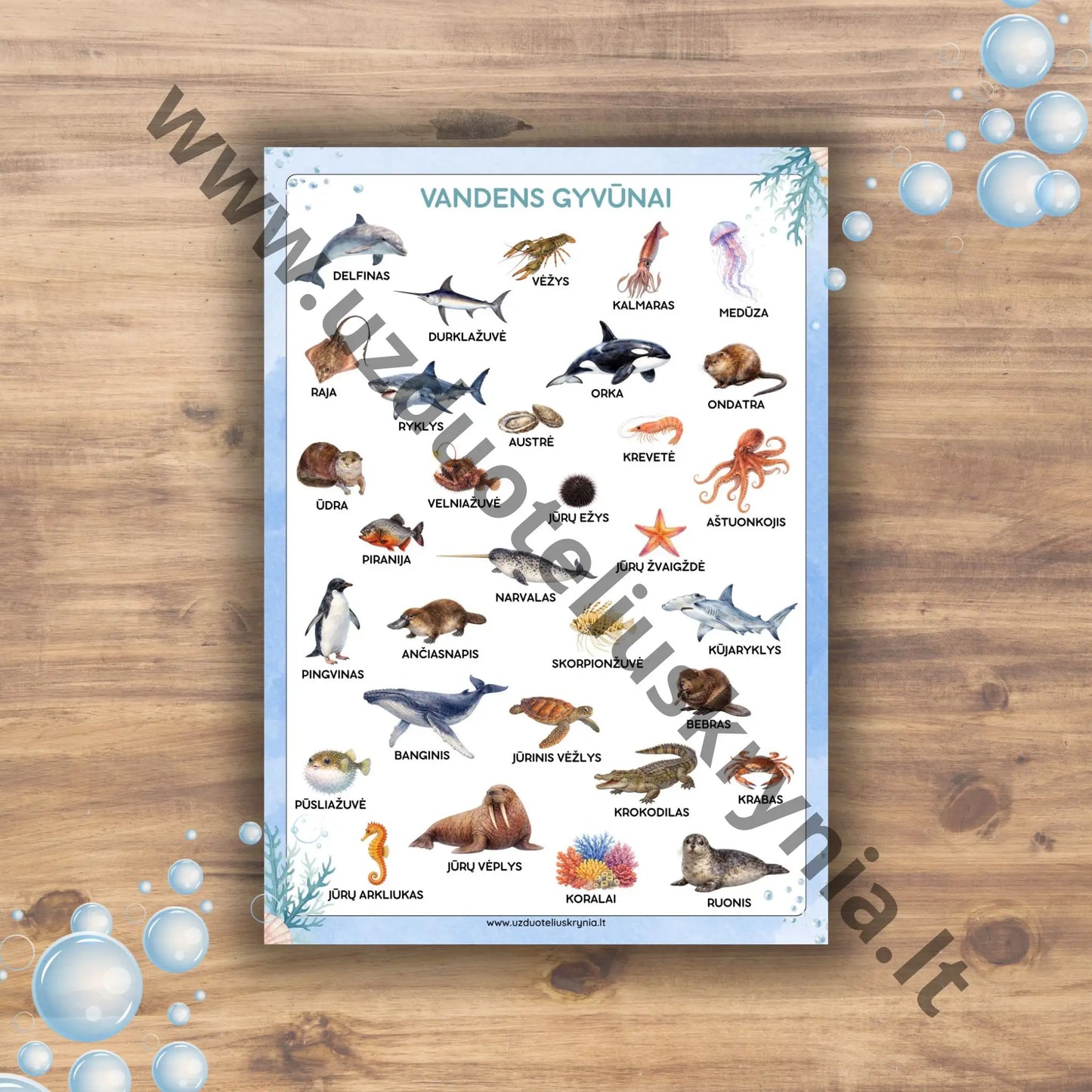 Vandens gyvūnų plakatas.